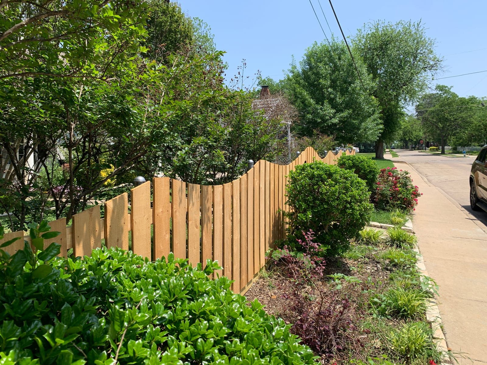 A new cedar privacy fence along a residential street, with mature shrub planting in front of it.